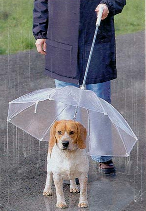 зонты оптом, купить зонт, зонтик, зонт мужской...