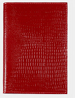 обложка для паспорта Вектор ОП-102