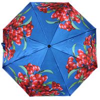 зонт женский Flioraj 190212FJ